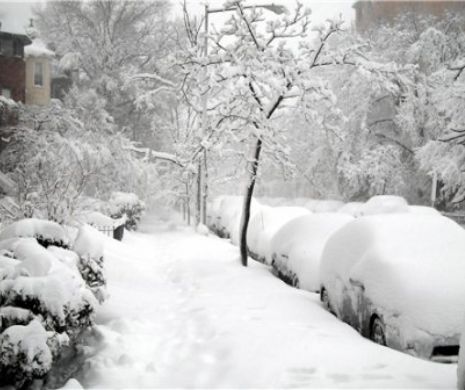 IARNĂ în ASIA DE EST. Gerul năpraznic a ucis 85 de persoane în Taiwan