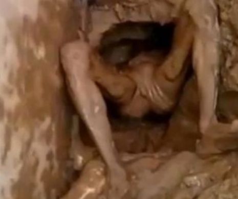 Mai DEZGUSTĂTOR de atât NU există. A încercat să evadeze prin TOALETĂ şi s-a blocat cu totul în EXCREMENTE | VIDEO