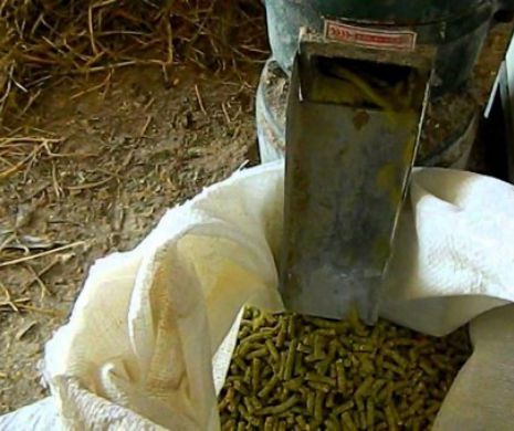 Moarte CUMPLITĂ pentru un fermier: a murit STRIVIT de aparatul de furajare