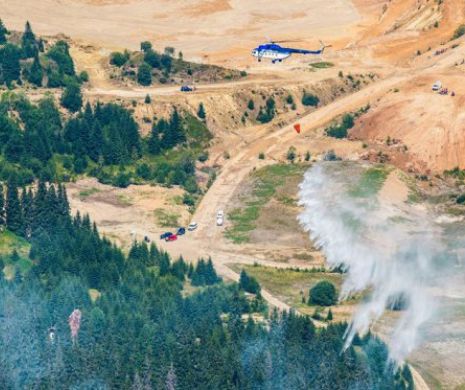 PERCHEZIŢII CU ELICOPTERUL. Peste 100 de poliţişti au DESCINS la HOŢII DE LEMNE care au DEFRIŞAT o pădure