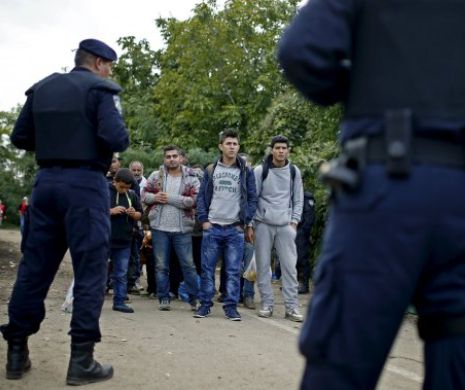 Refugiații NĂVĂLESC pe teritoriul ROMÂNIEI. 60 de BĂRBAȚi arabi au pătruns ILEGAL pe teritoriul României din Serbia
