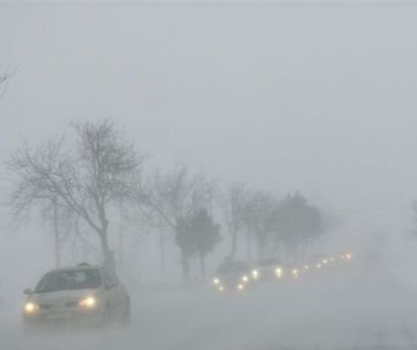 URGIA ALBĂ va îngropa România SUB NĂMEŢI. Combinaţia rară de NINSORI, VISCOL şi GER a uimit meteorologii