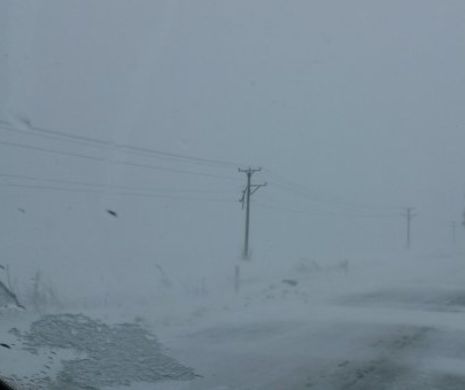 Zeci de localități din sud-estul țării, fără energie electrică. Constanța și Călărași, cele mai afectate