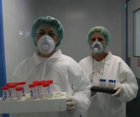 ALERTĂ! 30 de cazuri de GRIPĂ PORCINĂ confirmate în ROMÂNIA.