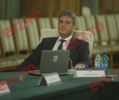 Cererile DNA în cazurile senatorilor Gabriel Oprea şi Doina Tudor, discutate azi în Biroul Permanent