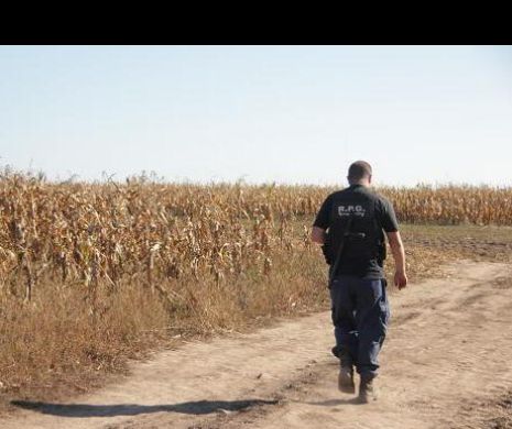 Concurența, inspecții inopinate pe piața agenților de securitate! AMENZILE pot urca la 10% din cifra de afaceri