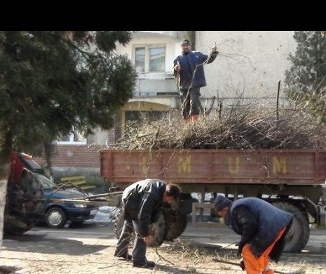 Consilierul general Richard Radu: "Bucureştiul risipeşte mulţi bani pe serviciile de salubrizare. Primăriile trebuie să negocieze mai strict contractele, iar amenzile pentru cetăţenii care nu respectă curăţenia trebuie majorate"