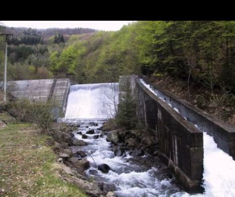 Diaspora în consens cu oengiștii autohtoni: „Salbele de hidrocentrale pun în pericol natura!”