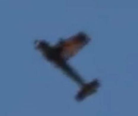 I S-A RUPT o aripă în zbor şi totuşi A REUŞIT SĂ ATERIZEZE cu bine. Viralul “Bă, Cristi!” este ÎN PERICOL l Video IREAL