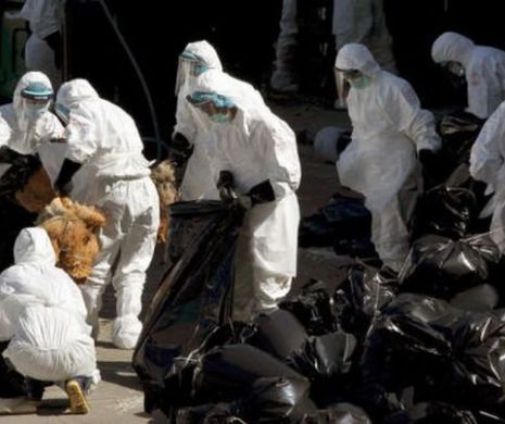 INCREDIBIL. De trei luni, Bucureştiul este expus unui RISC MARE de EPIDEMIE, dar autorităţile IGNORĂ PERICOLUL