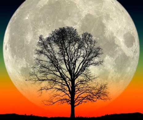 MAGIA LUNII şi extraordinarul EFECT RELAXANT pe care îl are GALERIA FOTO preferată de toţi romanticii lumii l Imagini-UNICAT
