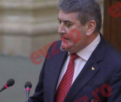 Senatul va vota azi asupra cererilor DNA în cazurile senatorilor Gabriel Oprea şi Doina Tudor