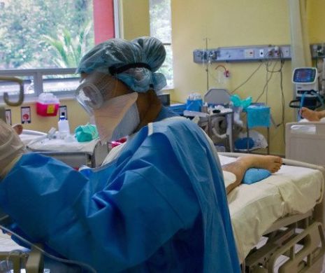 TREI cazuri de GRIPĂ PORCINĂ au fost CONFIRMATE în România