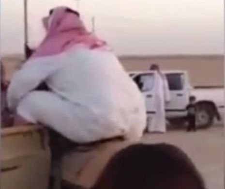 Un OBEZ încercat să călărească un CAL, dar animalul a cedat sub greutatea lui. VIDEOCLIPUL a devenit VIRAL pe INTERNET