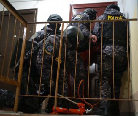 Zeci de PERCHEZIȚII  la rețeaua care alimenta vestul țării cu DROGURI PERICULOASE, precum MDMA sau pentadrină