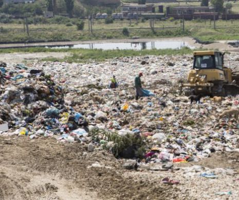 Adună gunoaie şi câştigă o avere. Cel mai bine plătit român este angajat la o firmă de colectare a deşeurilor