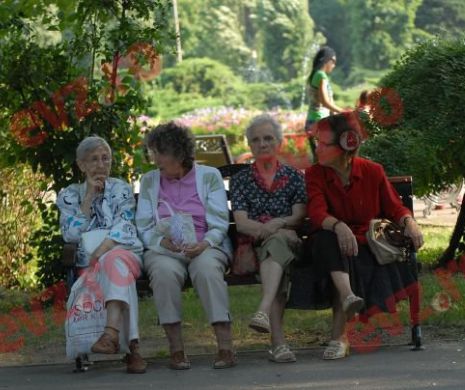 Ce pensionari au dreptul să muncească