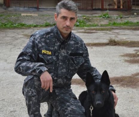 Cei mai buni câini polițiști vor fi premiați de Ziua Poliției Române. SPECTACOL în aer liber organizat de IGPR
