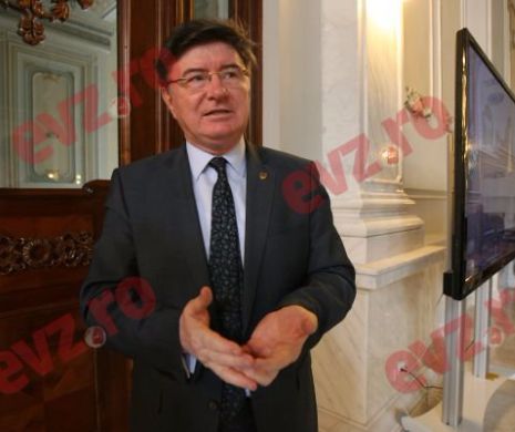 Chelaru: Documentele din Senat referitoare la Revoluţie-clasificate. Nu le putem înainta Parchetului