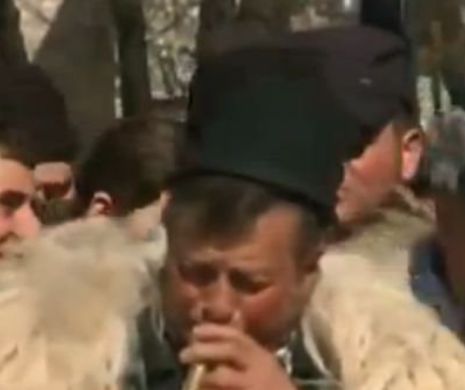 CIOBANII PROTESTEAZĂ în Bucureşti pentru că NU au fost plătite SUBVENŢIILE. Oamenii au vărsat LAPTE pe ASFLAT