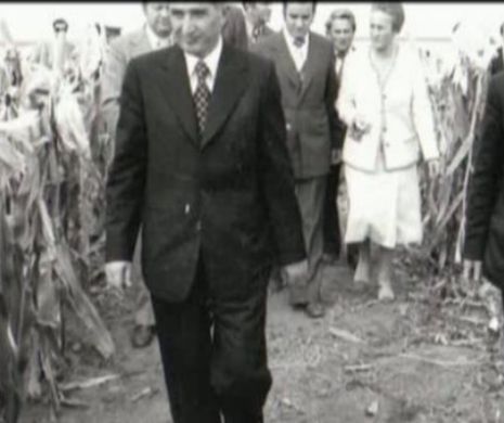 DOCUMENTE. Secretele Arhivei Ministerului Afacerilor Externe din perioada comunistă nu mai sunt secrete