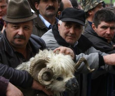 Guvernul ia din banii din PRIVATIZĂRI şi le dă agricultorilor