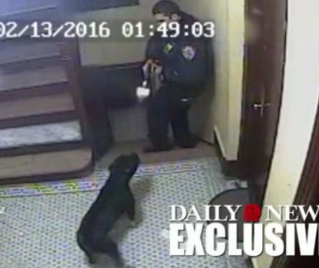 Momentul in care un politist impusca mortal cainele unei familii. Ce l-a facut pe agent sa traga. VIDEO