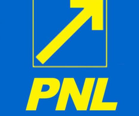 PNL face apel la PSD să trateze cu responsabilitate şedinţa Parlamentului în care se discută numirea şefului TVR