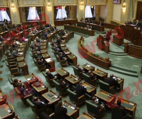 SENATUL a respins ordonanța de AMÂNARE a insolvenței personale