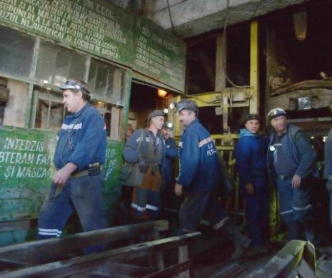 Borza: CE Hunedoara va intra în FALIMENT. Poate fi salvat doar dacă dăm AFARĂ JUMĂTATE dintre MINERI