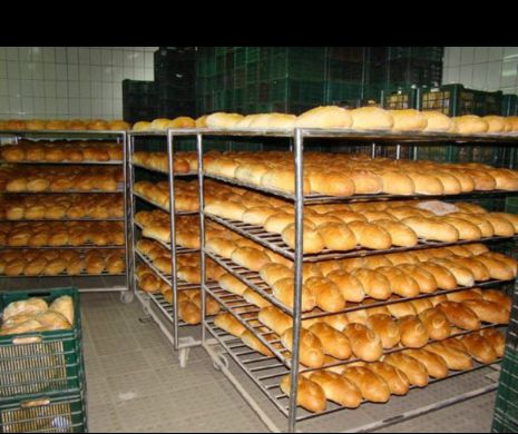 Celebra FRANZELĂ ROMÂNEASCĂ trebuie SCOASĂ DIN ALIMENTAŢIE. O voce importantă din PANIFICAŢIE a lansat AVERTISMENTUL