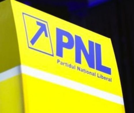 PNL a dat în JUDECATĂ GUVERNUL. Liberalii vor să FORŢEZE organizarea ALEGERILOR locale în DOUĂ tururi