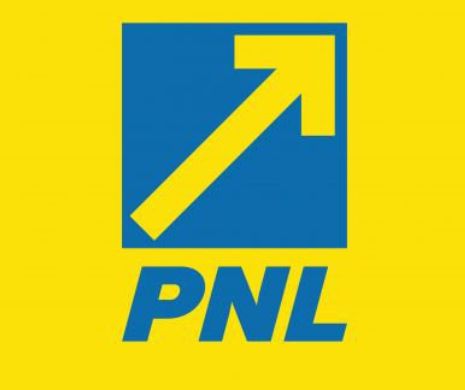 Procesul în care PNL a dat în judecată Guvernul pe tema alegerilor locale începe luni la CAB