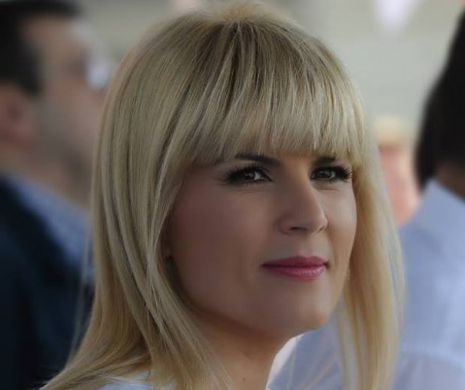 Udrea: Băsescu a fost avertizat, mai direct sau mai voalat, să stea în banca lui şi să nu candideze