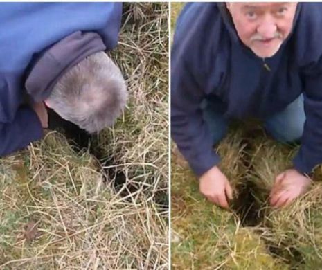 A auzit sunete care veneau din aceasta crapatura si a mers sa investigheze. Surpriza uriasa pe care a avut-o cand a bagat mana. VIDEO