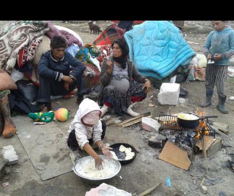 CARTIER pentru ROMI la ieșirea din Constanța