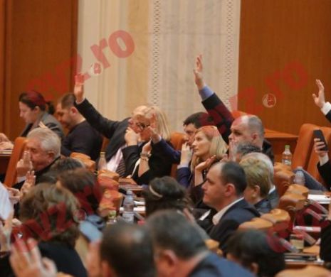 Deputaţii vor fi în vacanţă electorală până pe 7 iunie