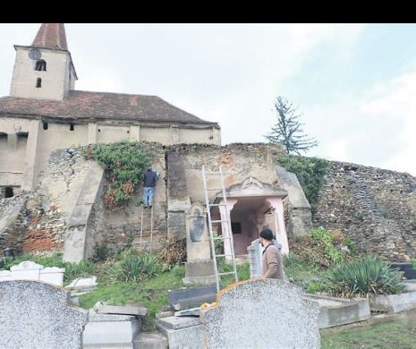 După ce au vandalizat biserica, și-au adăpostit vacile în altar