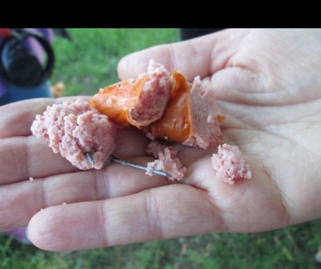 ÎN ATENŢIA POSESORILOR DE ANIMALE! În parcul IOR sunt împrăştiate bucăţele de cârnaţi cu CUIE!