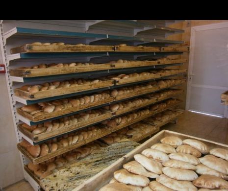 Mizerie de nedescris în unităţile de panificaţie şi abatoare. Inspectorii sanitar-veterinari au pus gând rău comercianţilor care nu respect regulile de igienă impuse prin lege