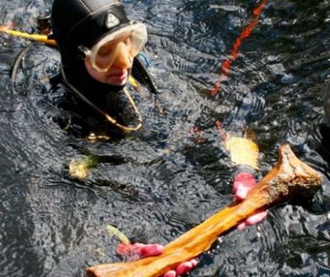 O descoperire arheologică REMARCABILĂ ar putea schimba ISTORIA aşa cum o ştim azi