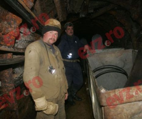 Plăţi compensatorii pentru angajații disponibilizați de la CE Hunedoara și CN a Uraniului