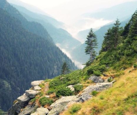 România VA COLABORA cu Google pentru a-şi îmbunătăţi imaginea și notorietatea în calitate de destinație turistică