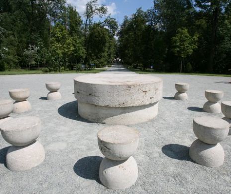 ALEGERI LOCALE 2016: REZULTATE judeţul GORJ. PSD a câştigat primăria Tg Jiu şi alte 44 de localităţi