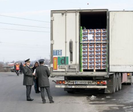 Armele Fiscului împotriva fraudei pe TVA