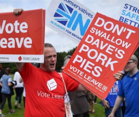 BREXIT. O influentă editorialistă zguduie internetul “VOTAŢi pentru a IEŞI. Dacă tabăra proUE câştigă, vă avertizez să nu vă îmbolnăviţi, să nu vă cumpăraţi casă, să nu speraţi să vă înscrieţi copilul la şcoală şi, mai ales, să nu îndrăzniţi să vă plângeţ