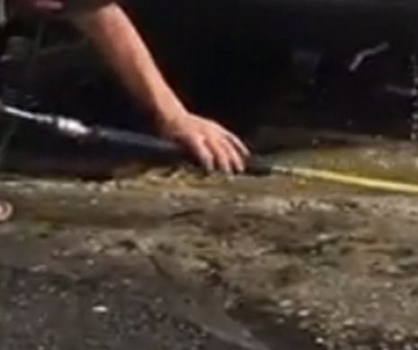 Claxonat in trafic de alti soferi, un barbat din Gorj a trait un soc in momentul in care a vazut ce intrase pe teava de esapament. VIDEO
