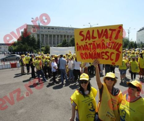 Debutanții din Sănătate și Învățământ primesc salarii cu 10% mai mari
