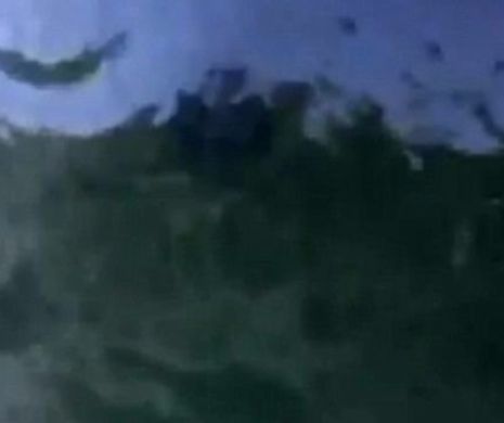 O creatură misterioasă a fost observată în apele canalelor venețiene. Localnicii sunt speriați: "Am 50 de ani și nu am mai văzut niciodată ceva asemănător"