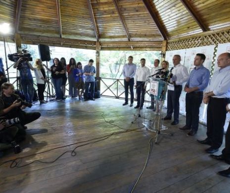 Petrecere cu avertismente în PSD